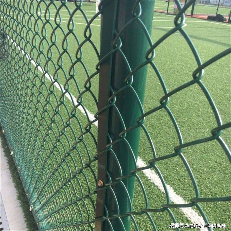 乐鱼(中国)体育球场围栏网完工：为球场之美增添一笔